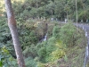 DSC01771 (1024x576)