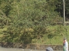 DSC01817 (1024x225)