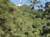 DSC01886 (576x1024)