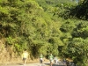 DSC01894 (576x1024)