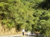 DSC01895 (576x1024)
