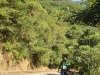 DSC01896 (576x1024)