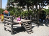 IMG_7320 (1024x768)