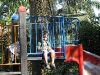 IMG_7321 (1024x768)