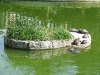 IMG_7329 (1024x768)