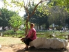 IMG_7351 (1024x768)