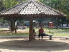 IMG_7359 (1024x768)